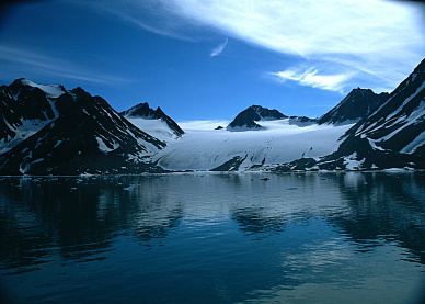 Настоящая Арктика